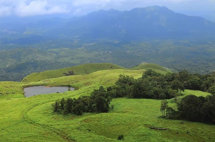 Dandeli
